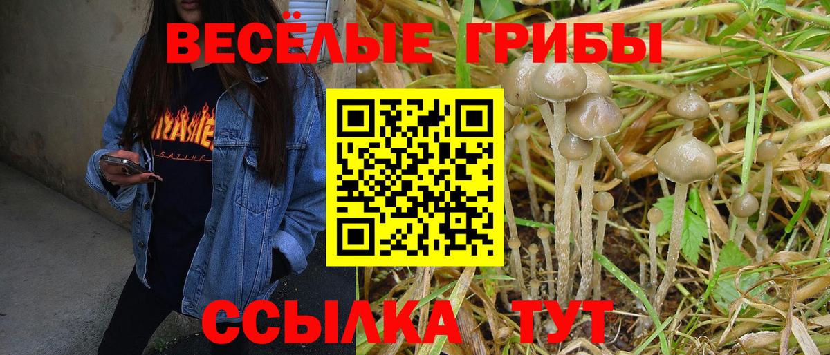 Псилоцибиновые грибы мицелий Ахтубинск
