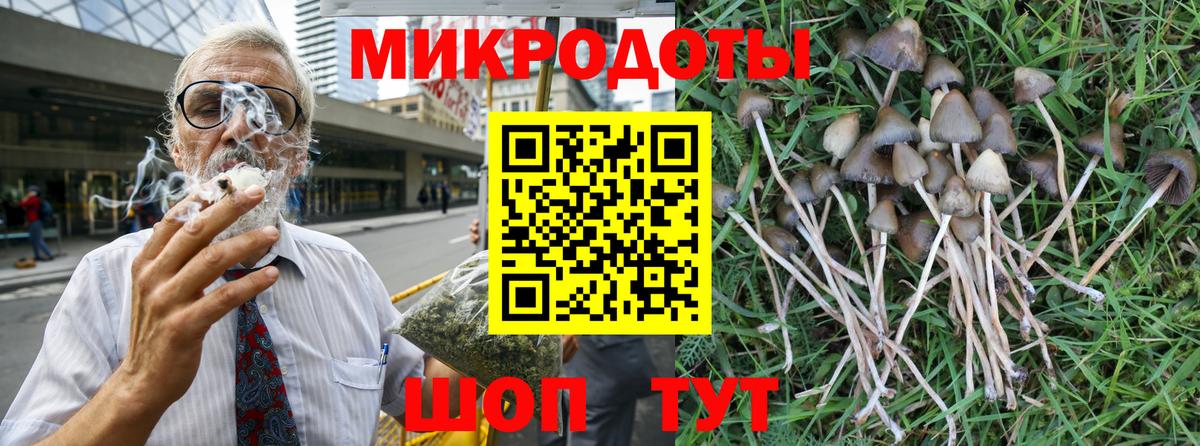 Ахтубинск  где продают наркотики  Вход с VPN  Псилоцибиновые грибы MAGIC MUSHROOMS 